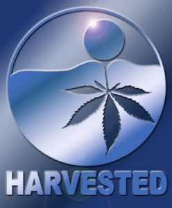 Go to Harvested Now!